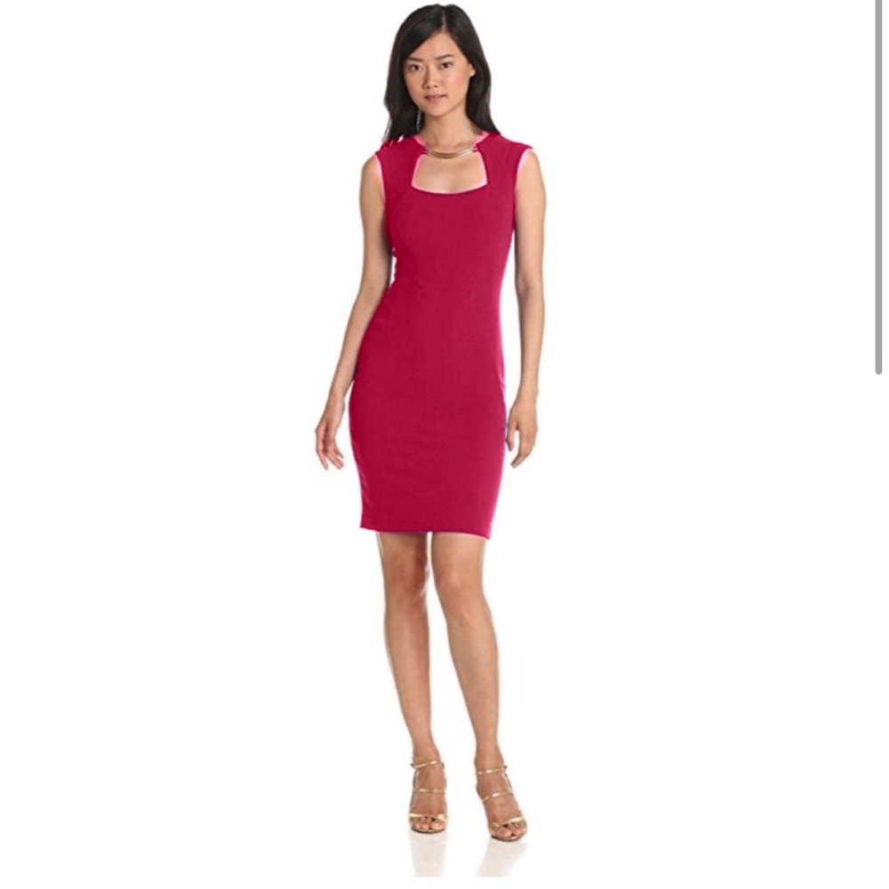 BCBG MaxAzria Clara Pink Cocktail Dress